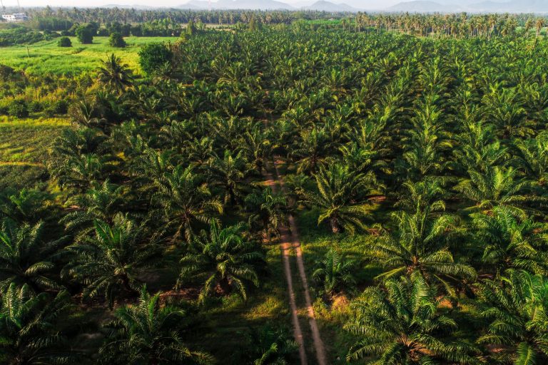 Atasi Blank spot di industri sawit dengan Kymeta Hawk u8